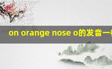 on orange nose o的发音一样吗